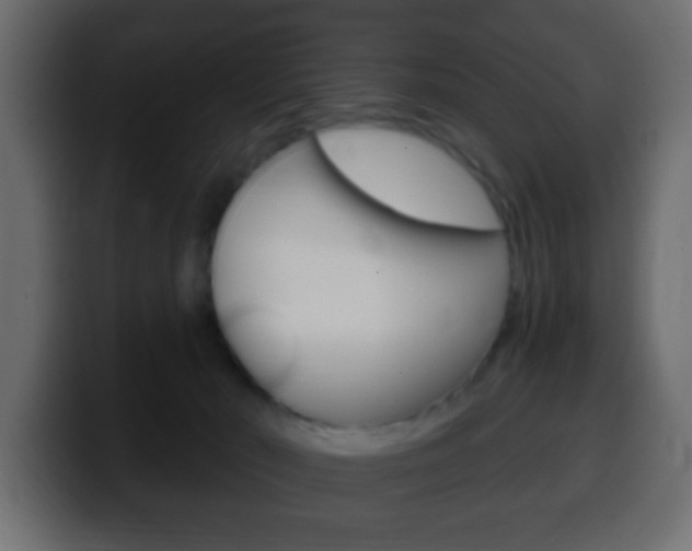 X0000100400030200806060903