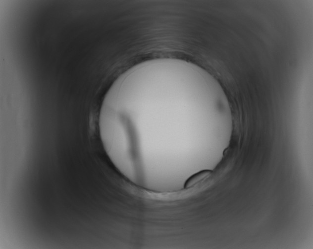 X0000100400038200806060903
