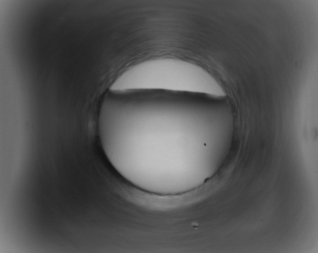 X0000100400039200806060903