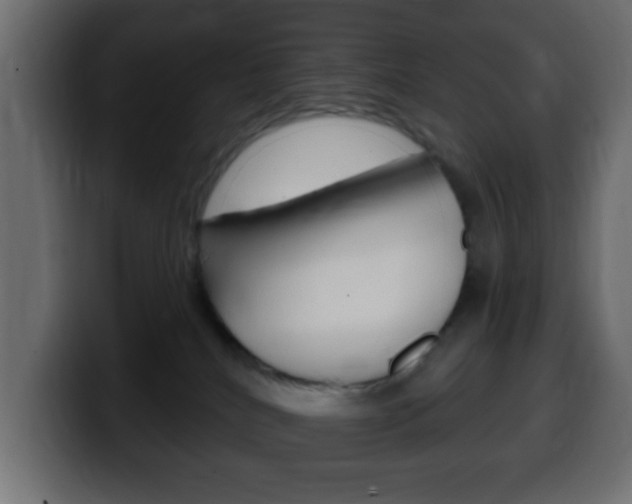 X0000100400040200806060903