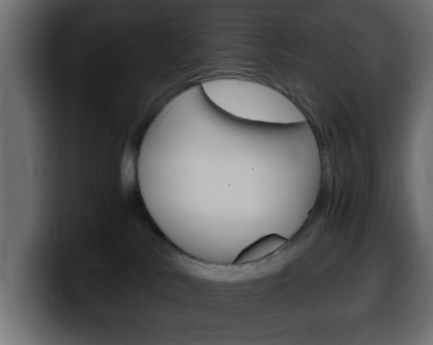 X0000100400042200806060903