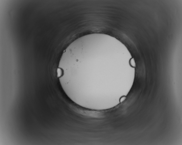X0000100400044200806060903