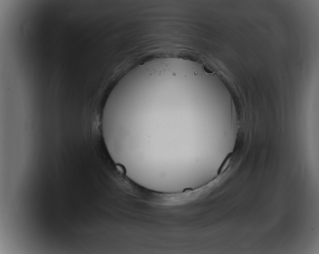 X0000100400045200806060903