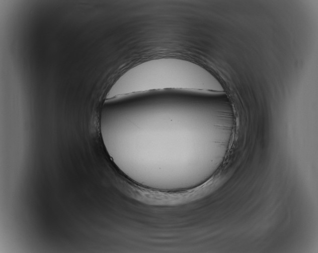 X0000100400048200806060903