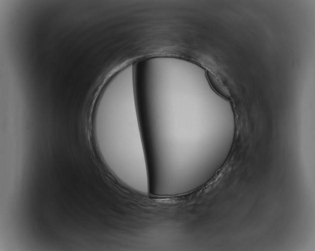 X0000100400050200806060903
