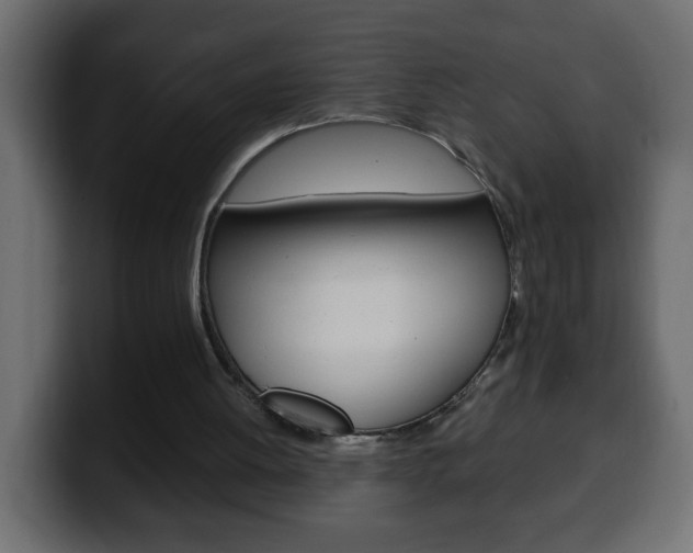 X0000100400052200806060903