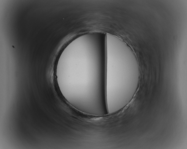 X0000100400054200806060903