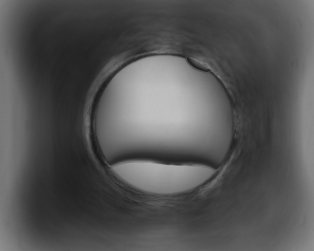 X0000100400055200806060903