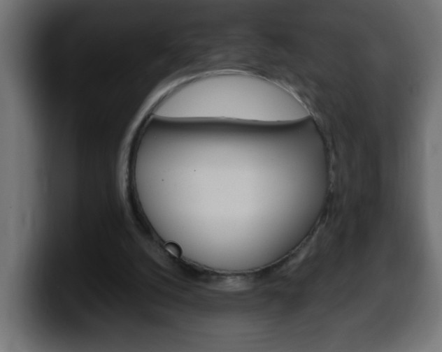 X0000100400056200806060903
