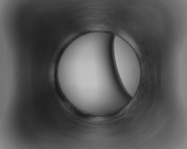 X0000100400058200806060903