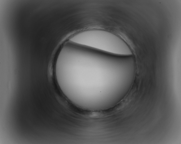 X0000100400060200806060903