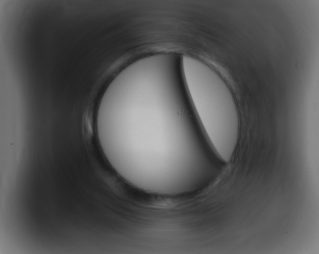 X0000100400062200806060903