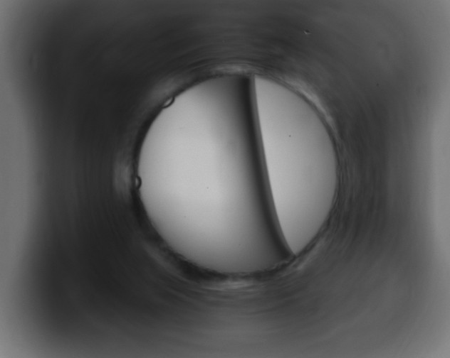 X0000100400063200806060903