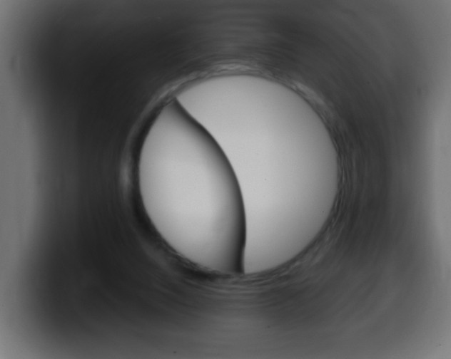 X0000100400064200806060903
