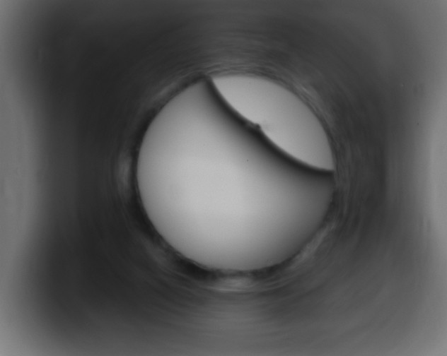 X0000100400066200806060903