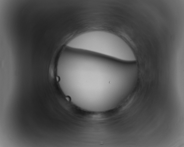 X0000100400068200806060903