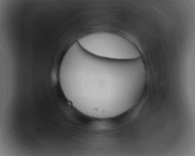 X0000100400069200806060903
