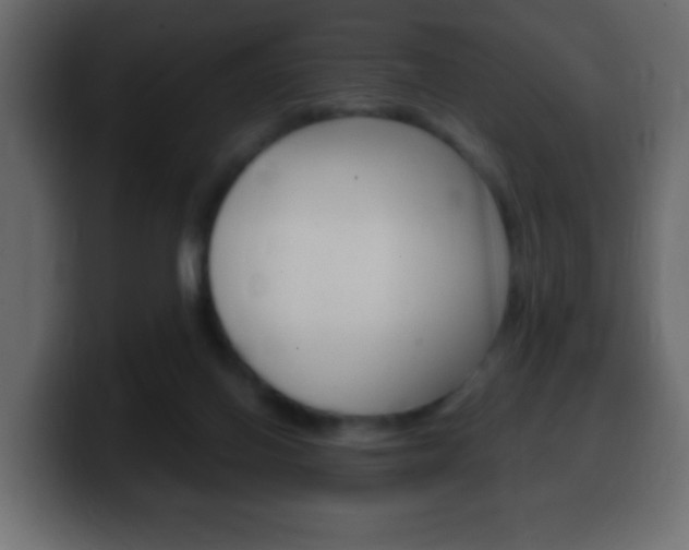 X0000100400070200806060903