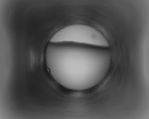 X0000100400071200806060903