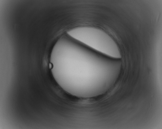 X0000100400072200806060903