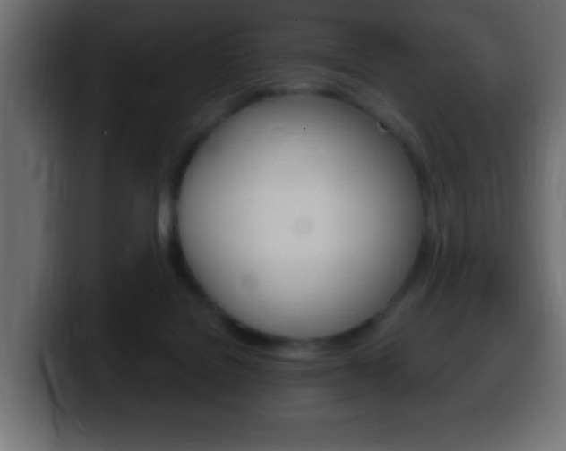 X0000100400076200806060903