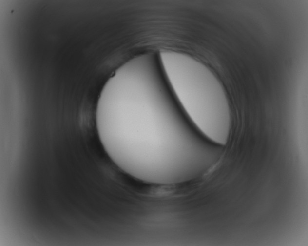 X0000100400078200806060903