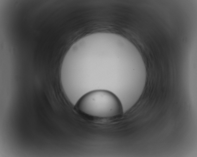 X0000100400079200806060903