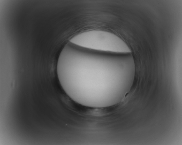 X0000100400082200806060903