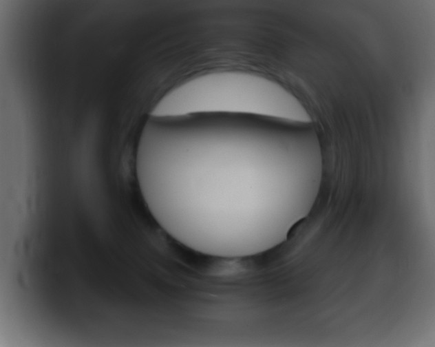 X0000100400083200806060903