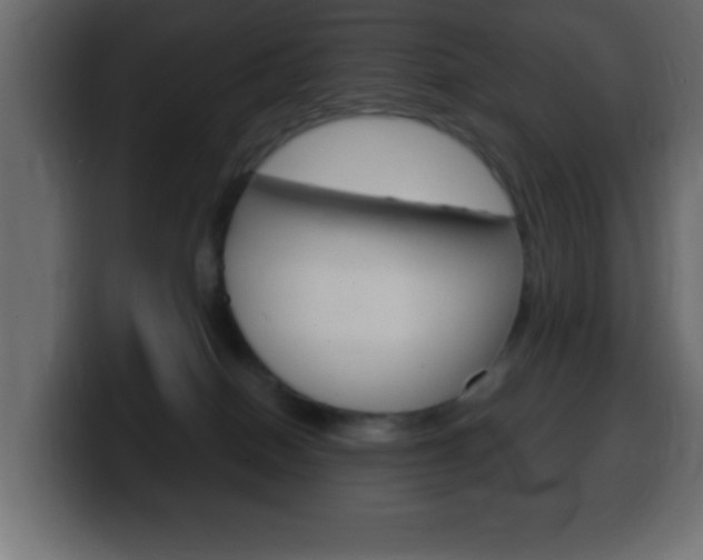X0000100400086200806060903