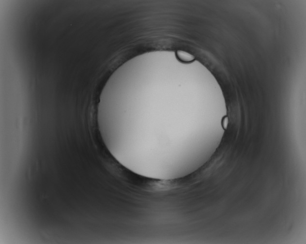 X0000100400092200806060903