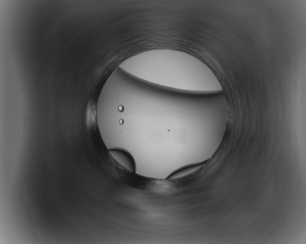 X0000100400095200806060903