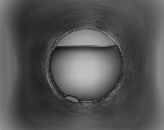 X0000100400097200806060902