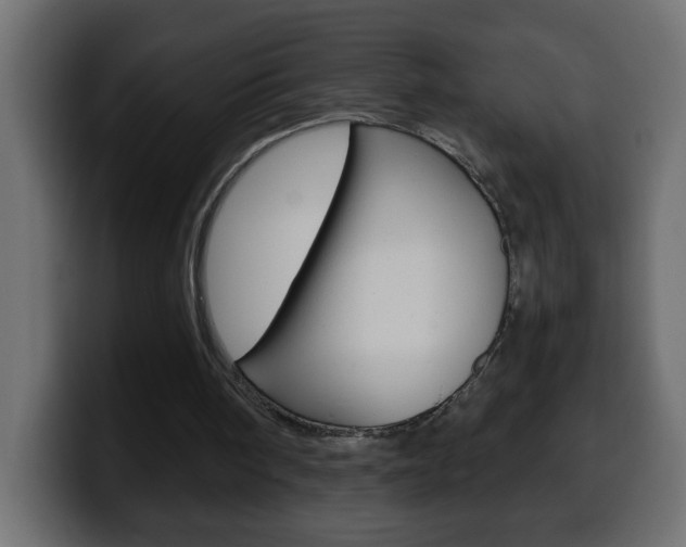 X0000100400098200806060902