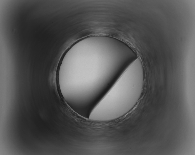 X0000100400099200806060902