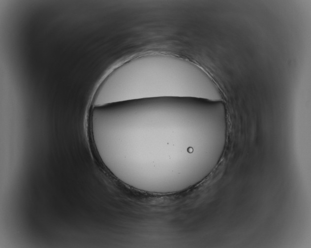 X0000100400100200806060902