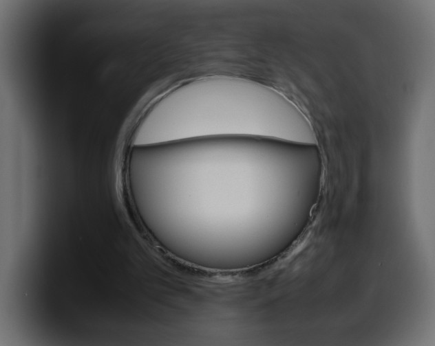 X0000100400101200806060902