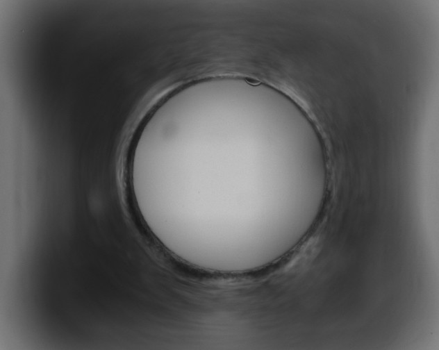 X0000100400103200806060902