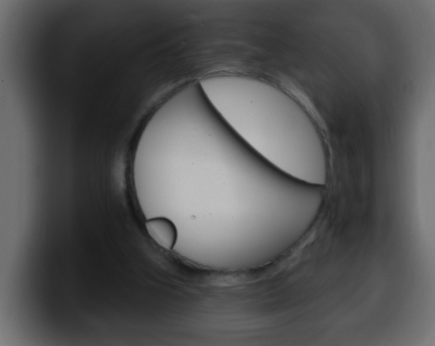 X0000100400106200806060902