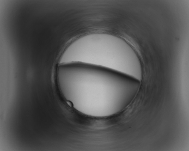 X0000100400107200806060902