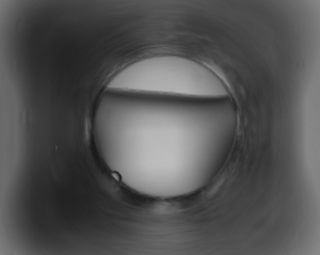 X0000100400109200806060902