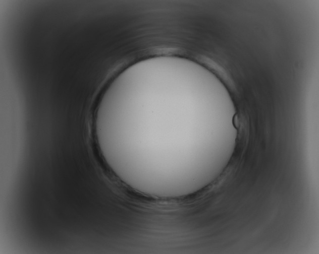 X0000100400110200806060902