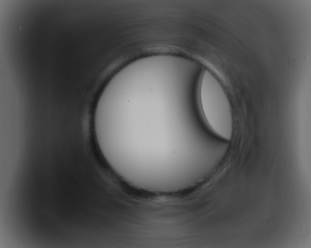 X0000100400111200806060902