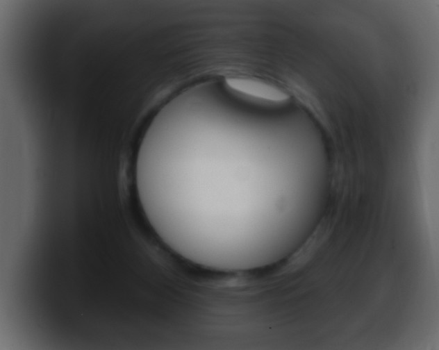 X0000100400116200806060902