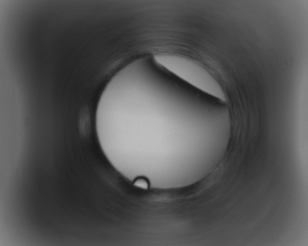 X0000100400120200806060902