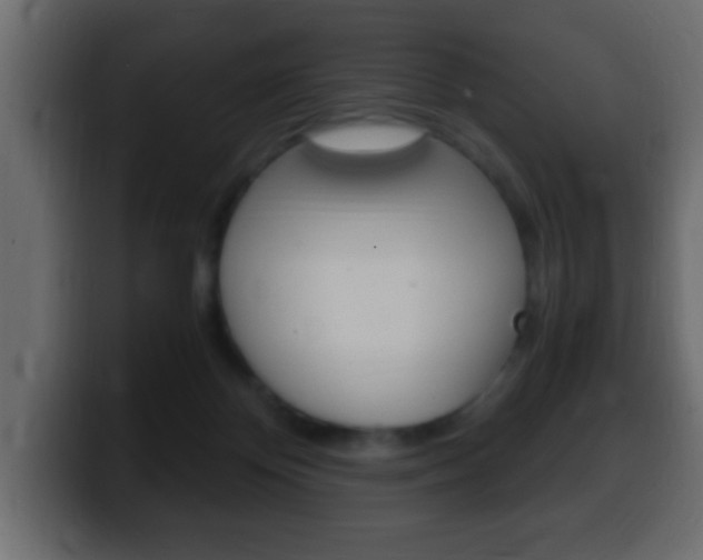 X0000100400124200806060902