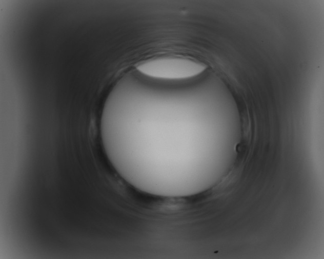 X0000100400128200806060902