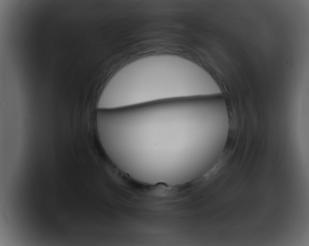 X0000100400136200806060902