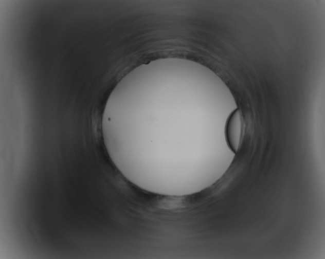 X0000100400138200806060902