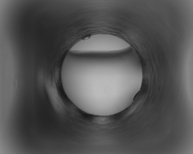 X0000100400139200806060902